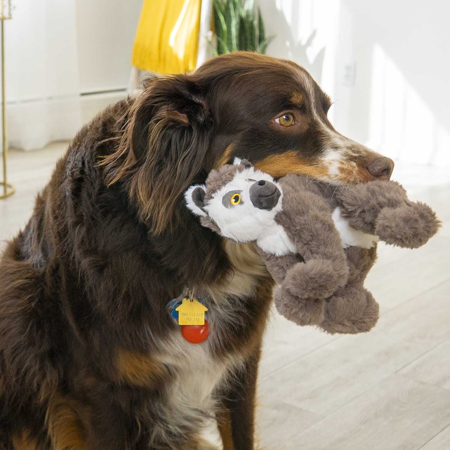 Kong Scampers Lemur Medium for Dogs