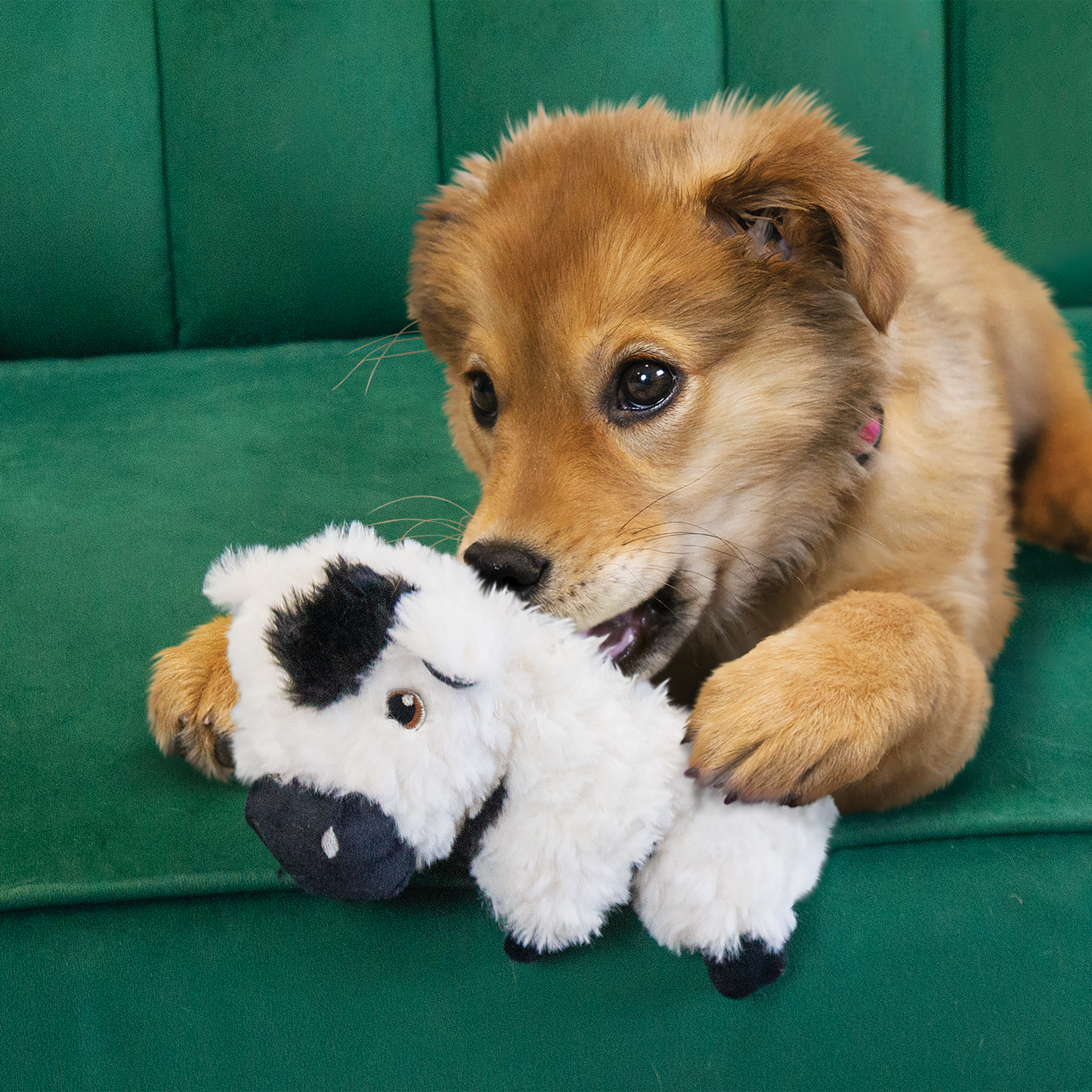 Kong Comfort Tykes Cow