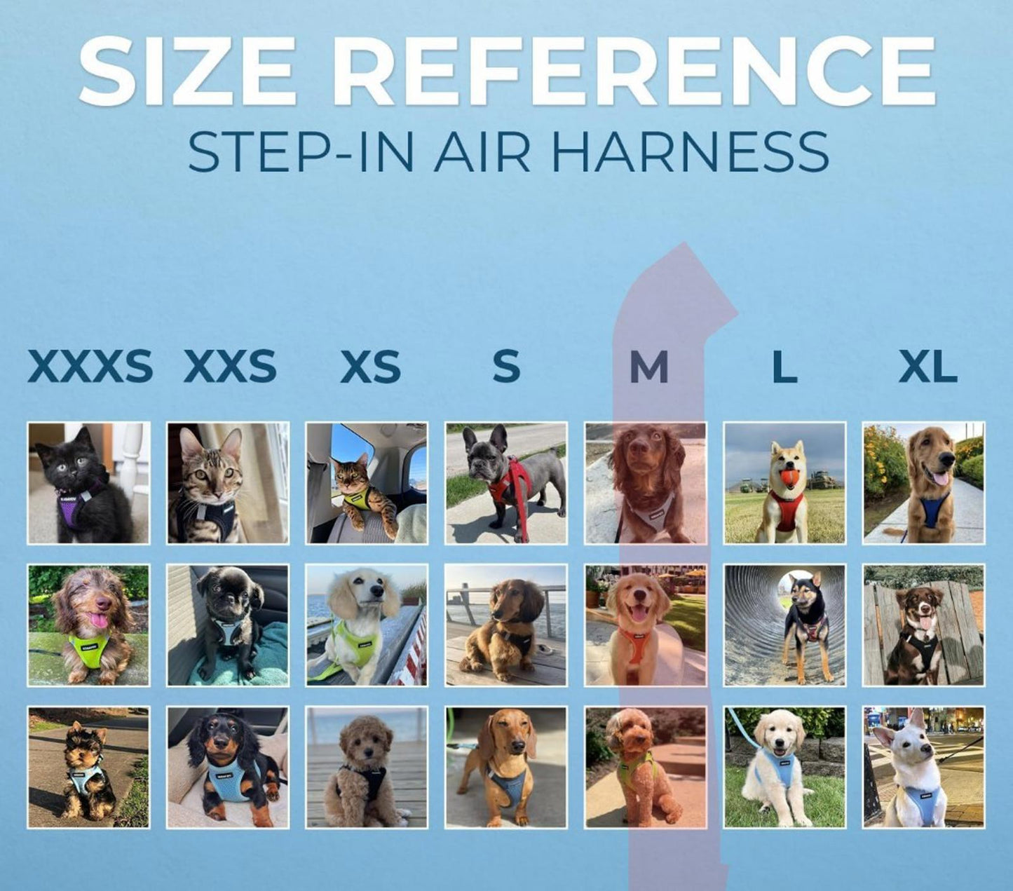 All Weather Mesh, Reflective, No Pull Harness for Large Dogs, Large