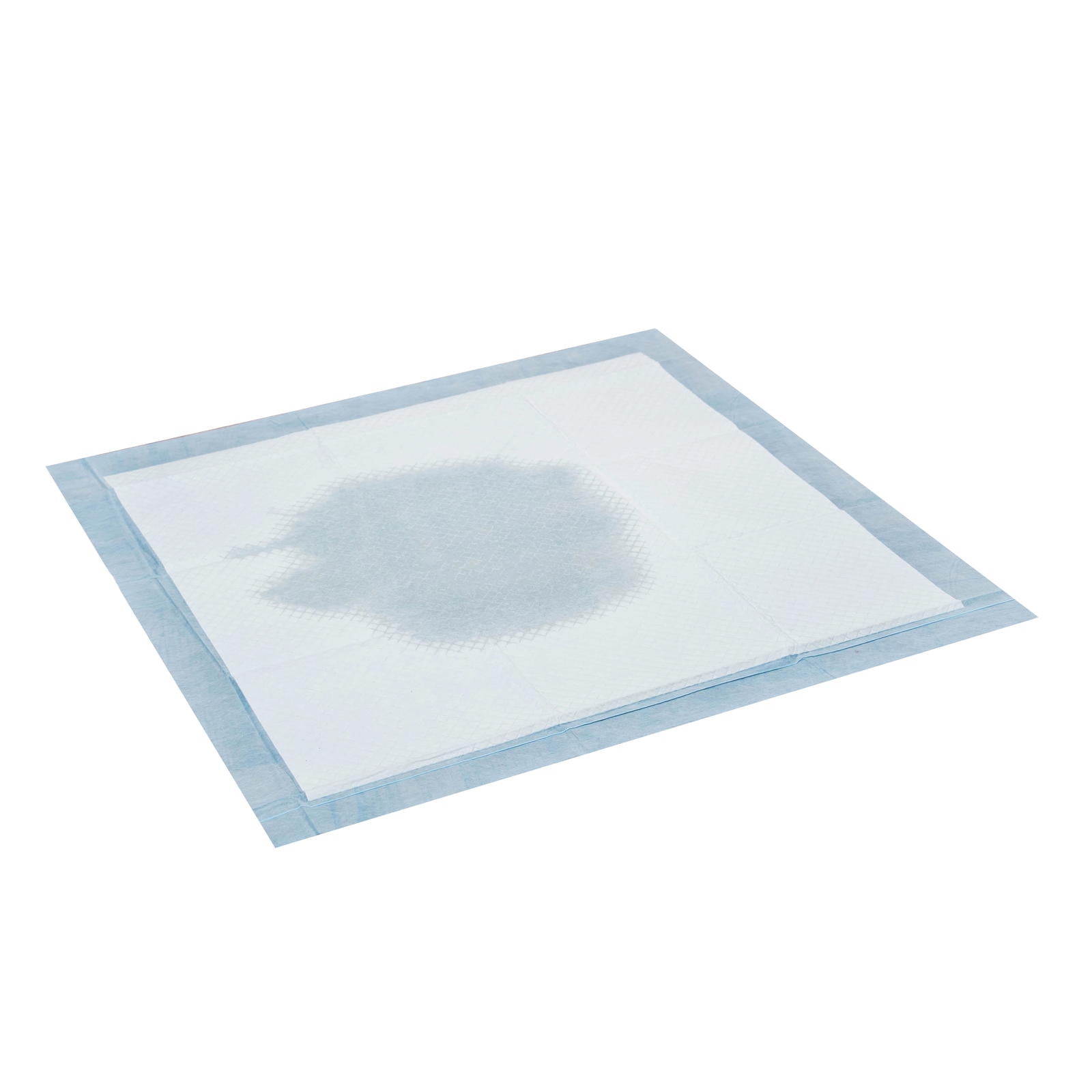 Absorbent pet training pad with blue border and stain-resistant surface.