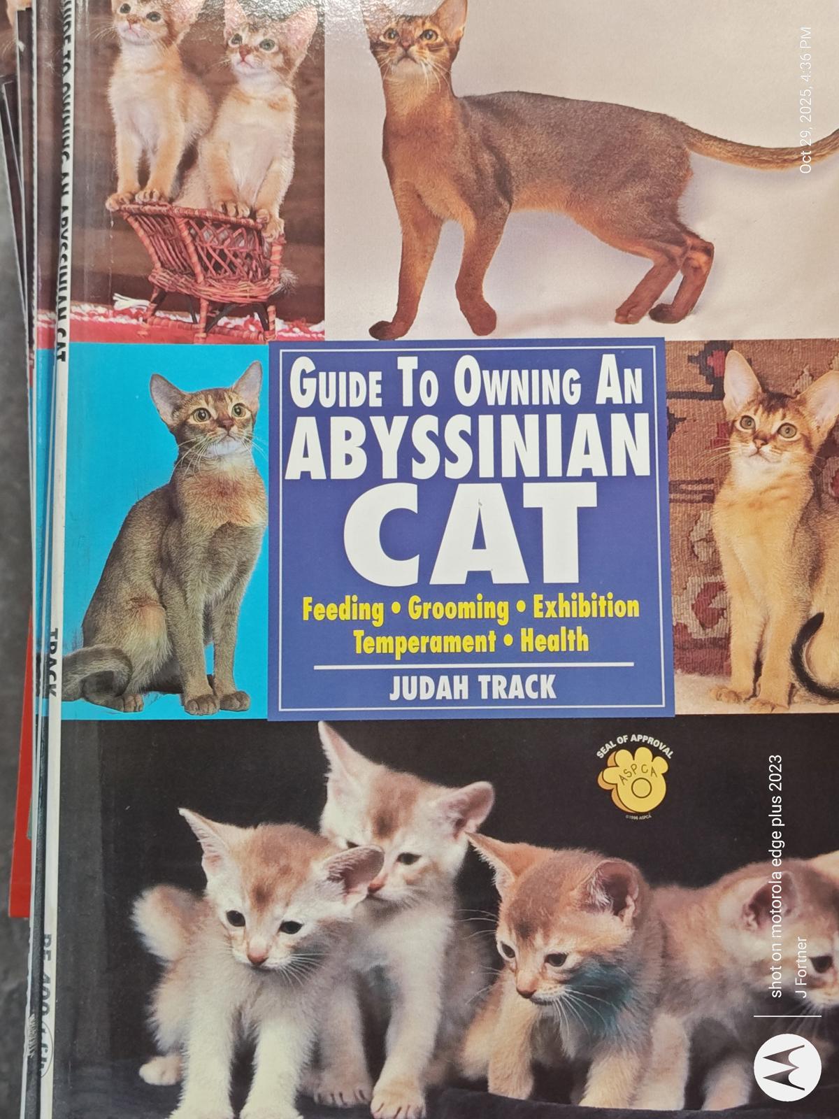 Abyssinian Cat guidebook cover featuring playful kittens and a sleek adult cat.