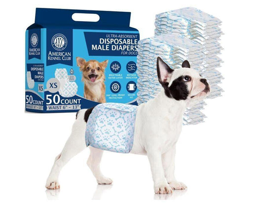 American Kennel Club disposable male diapers for dogs, featuring a French Bulldog wearing a diaper.