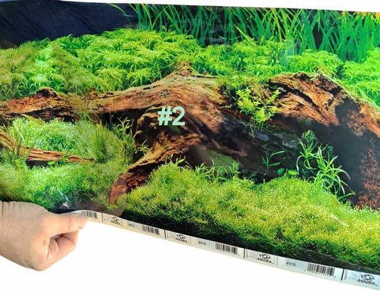 Aquarium Background #2 featuring lush green plants and natural wood texture.