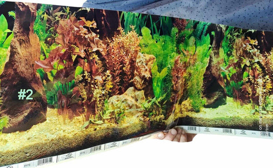 Aquarium background featuring lush green plants and natural decor for vibrant aquatic environments.
