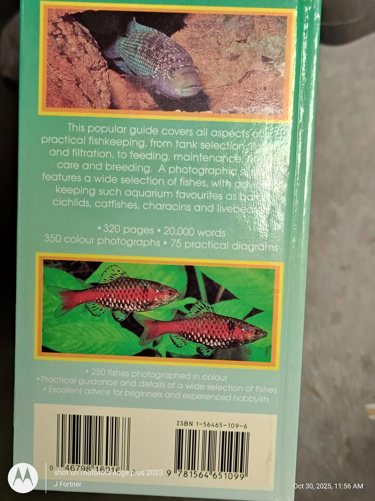 Aquarium Fish Guide features colorful photographs and practical advice for fish care and breeding.