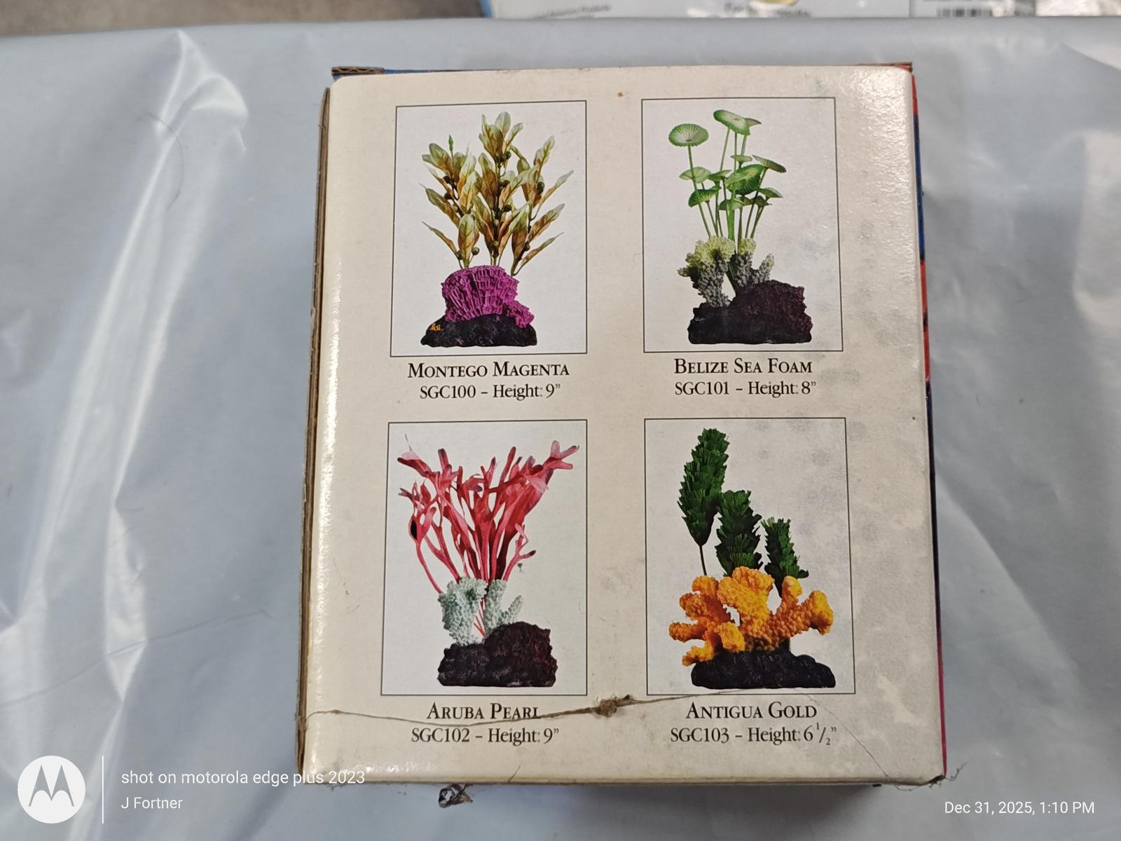 Aquarium plants set featuring Maranta, Sea Fan, Asta, and Anubias Green for vibrant aquatic decor.