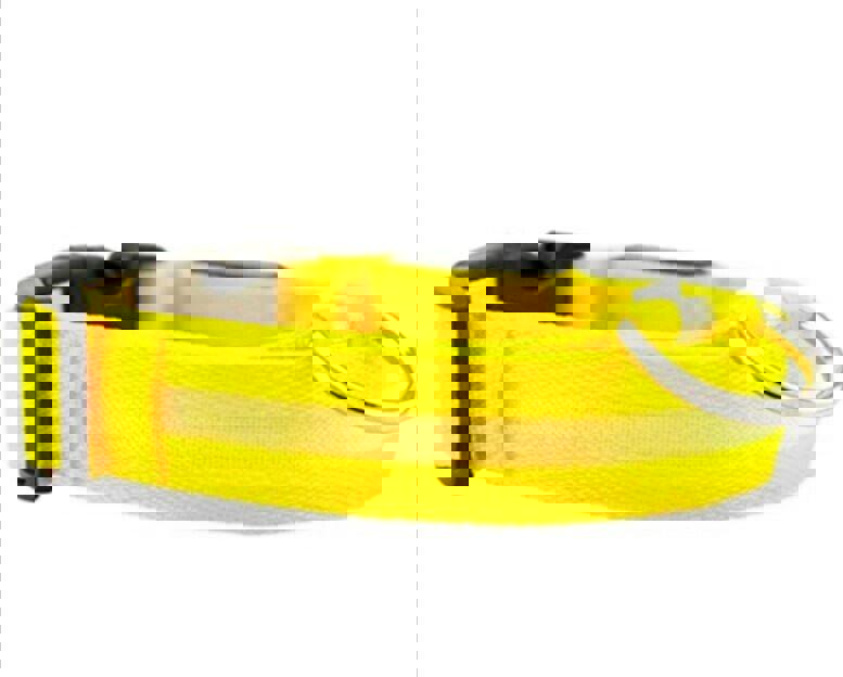 LED Adjustable Dog Collar- 5 Sizes 7 Colors  Blinking Flashing/Solid