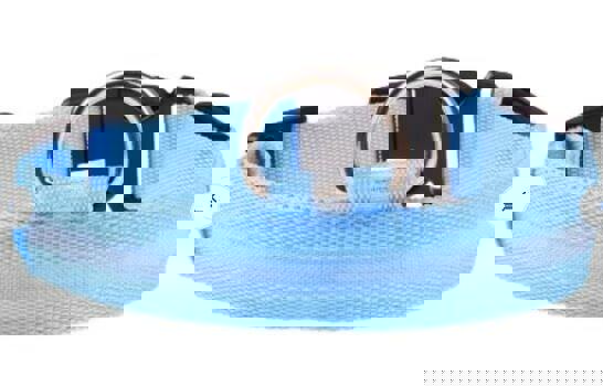 Blue dog collar featuring a durable design and metal D-ring for leash attachment.