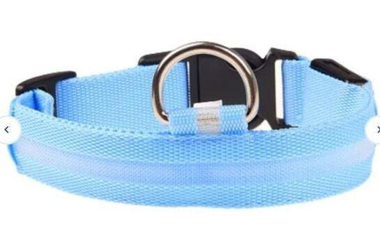 Blue dog collar featuring a durable design and metal D-ring for leash attachment.