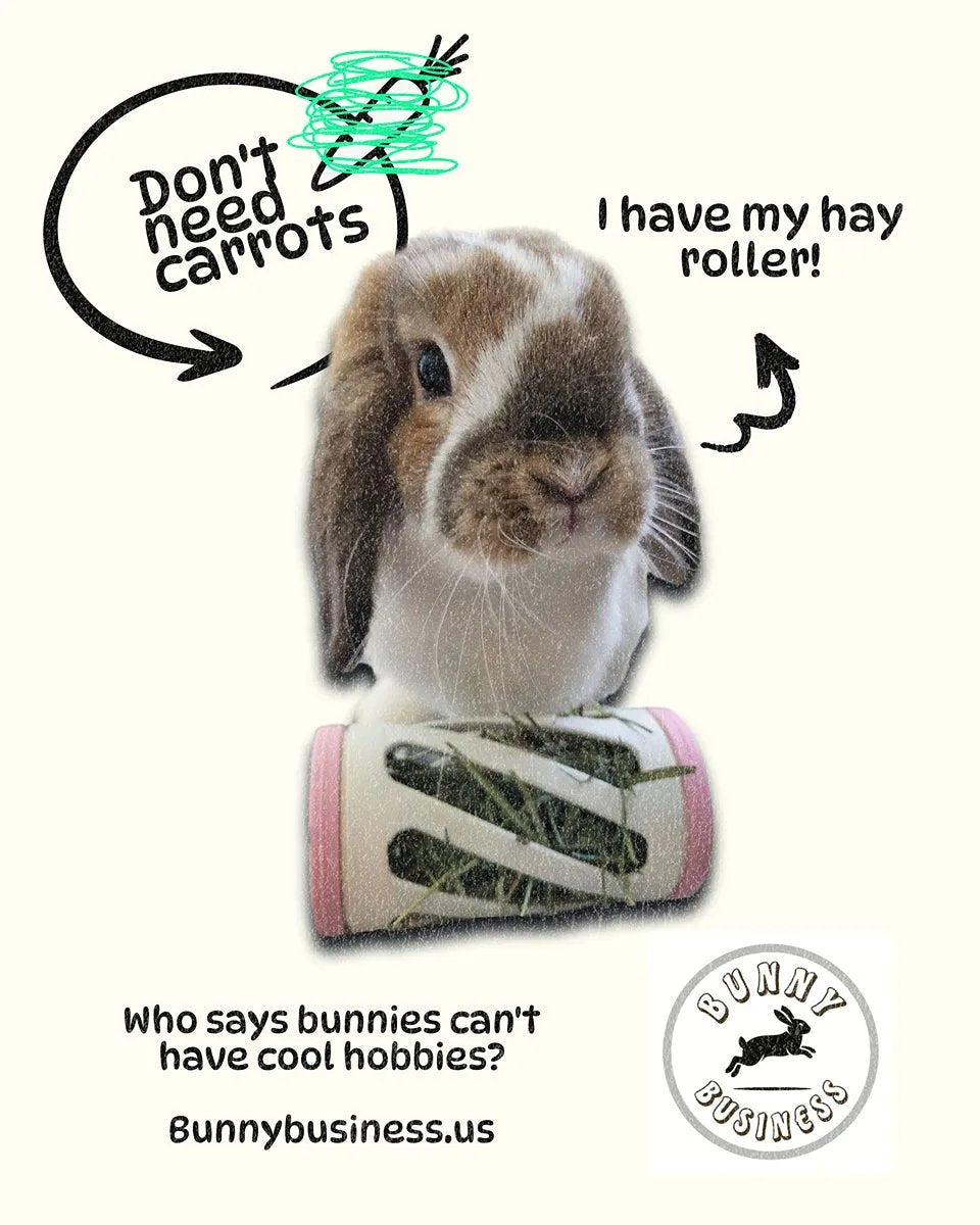 Bunny Business hay roller for rabbits, featuring a playful bunny enjoying its toy.