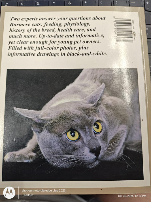 Burmese Cat book cover featuring a gray cat with striking yellow eyes, informative about breed care.