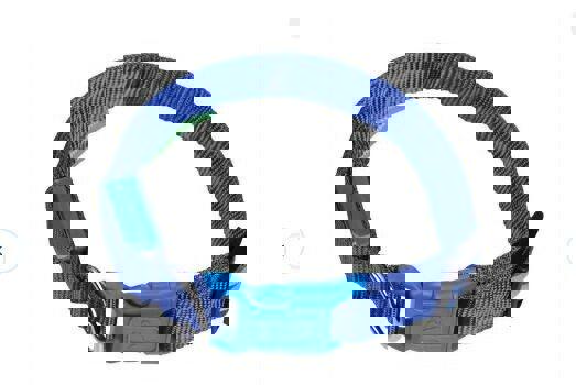 LED Adjustable Dog Collar- 5 Sizes 7 Colors  Blinking Flashing/Solid