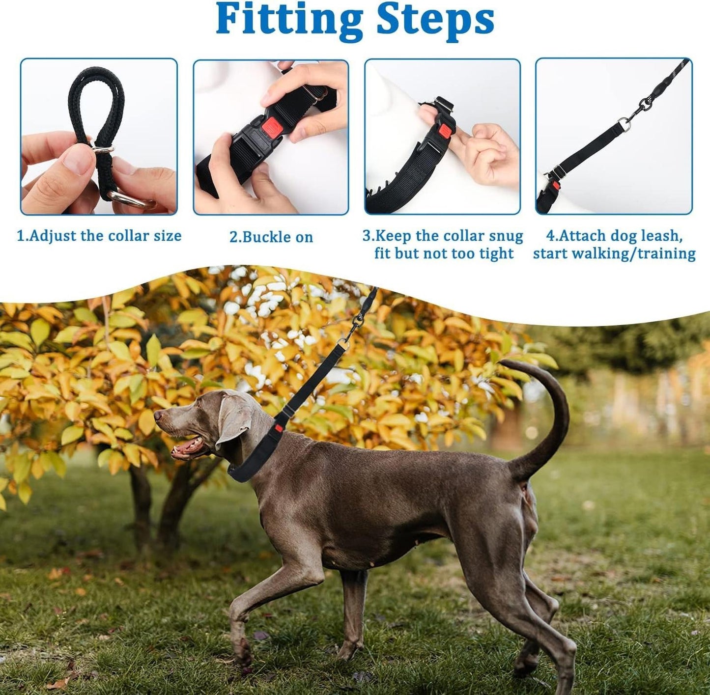 Leather Studded  Martingale Training Collar  Large Dogs