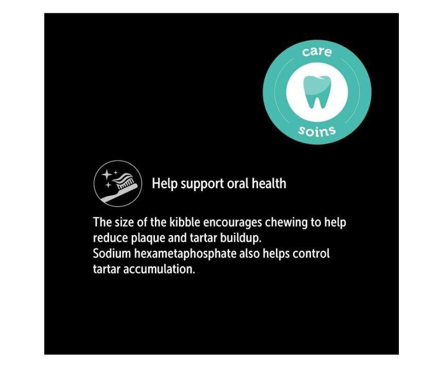 Care Soins kibble helps support oral health by reducing plaque and tartar buildup.