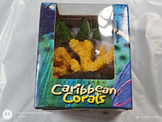 Caribbean Corals decorative coral piece in a colorful box with vibrant design.