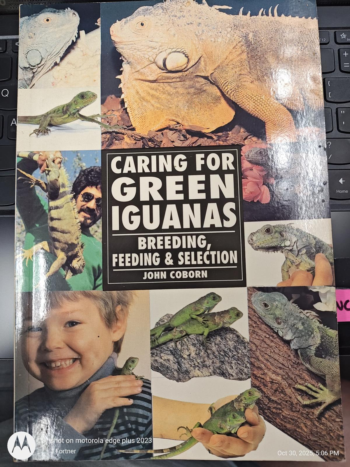 Caring for Green Iguanas book cover featuring images of iguanas and a child, highlighting breeding and feeding.