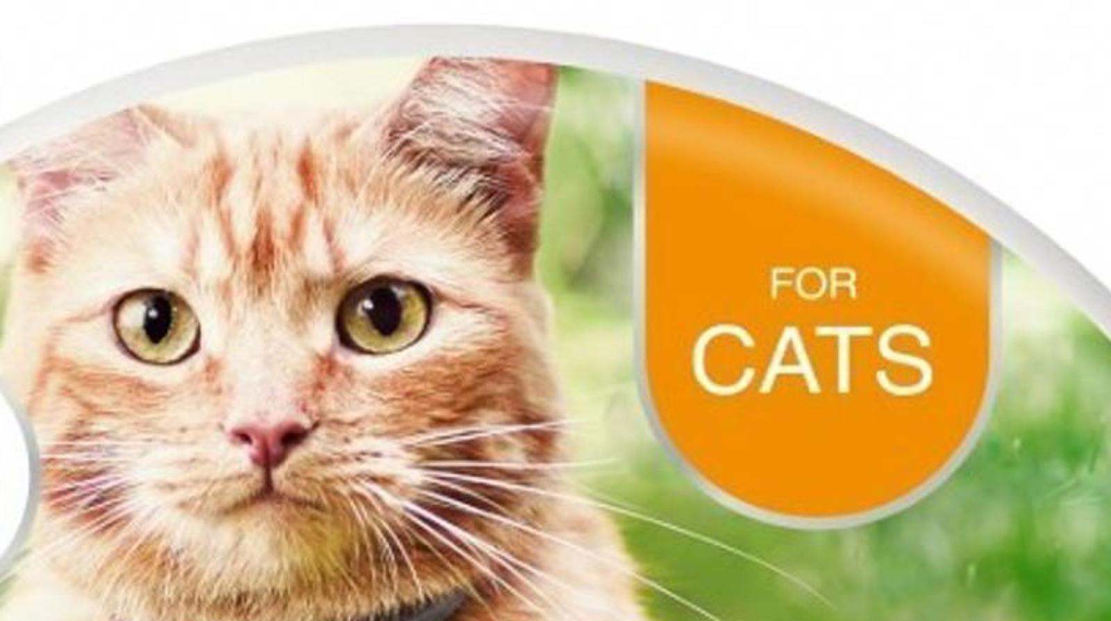 Cat food packaging designed for cats, featuring an orange tabby cat with bright eyes.