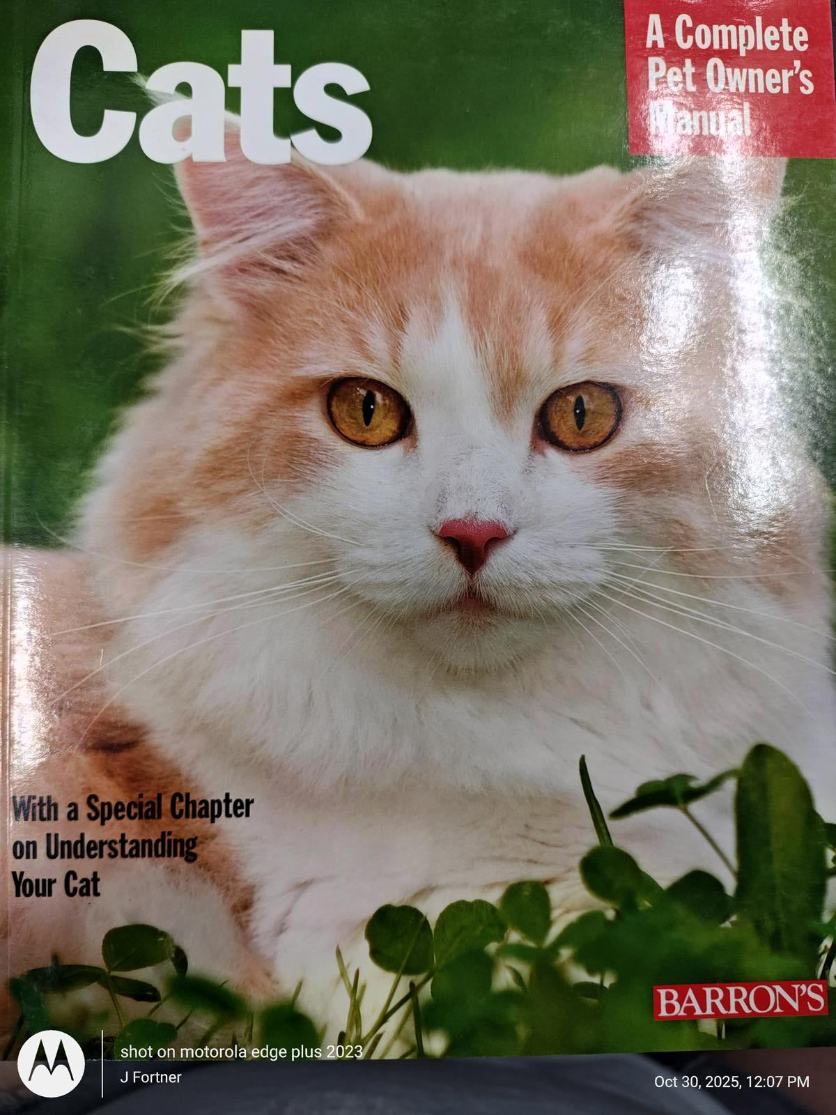 Cats manual featuring a fluffy orange and white cat on the cover, highlighting pet ownership tips.