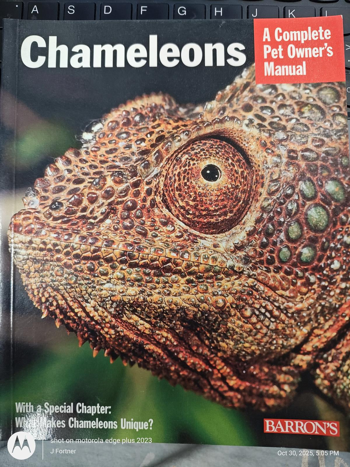 Chameleons: A Complete Pet Owner's Manual featuring a close-up of a chameleon's textured skin.