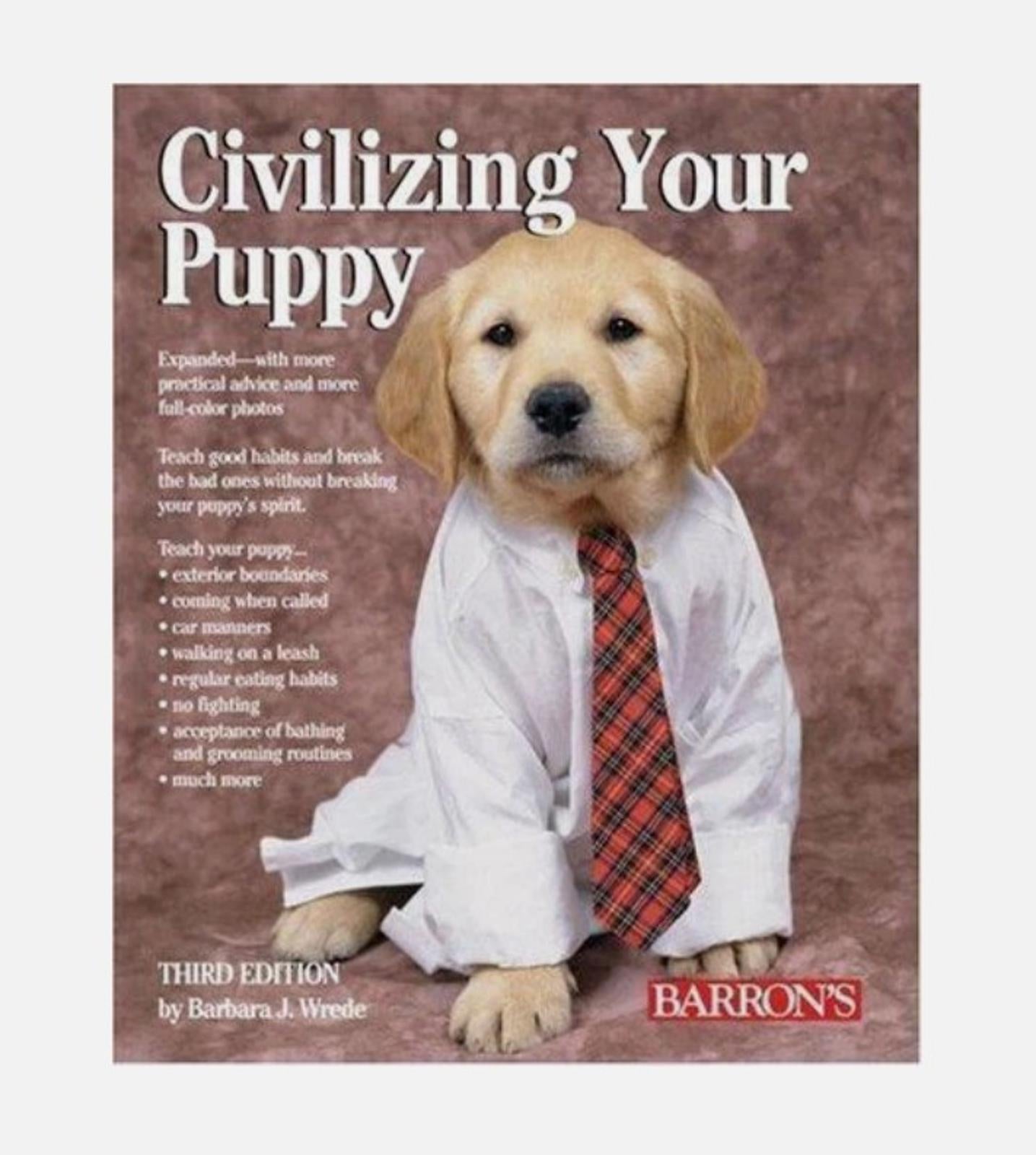 Civilizing Your Puppy book cover featuring a golden retriever puppy in a white shirt and red tie.