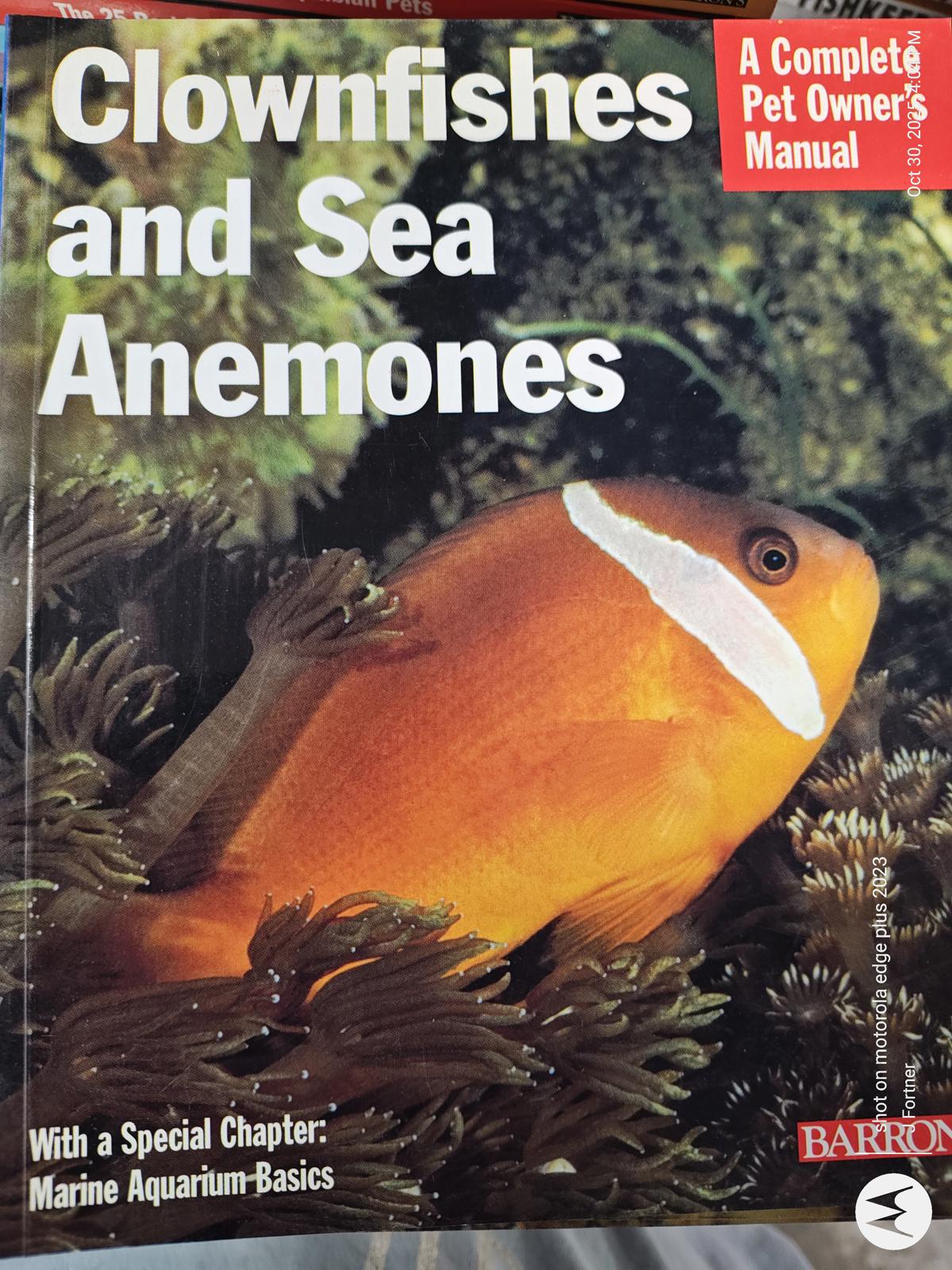 Clownfishes and Sea Anemones book cover featuring a vibrant clownfish in a coral reef.