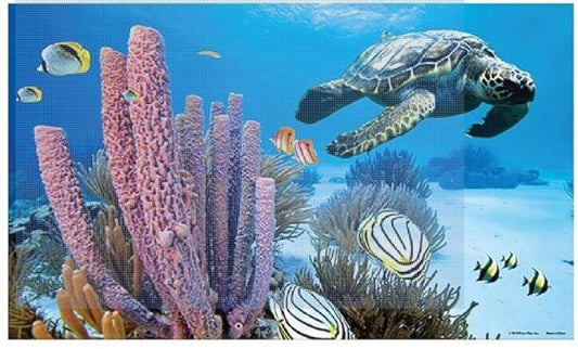 Underwater scene featuring a sea turtle swimming near vibrant coral and colorful fish.