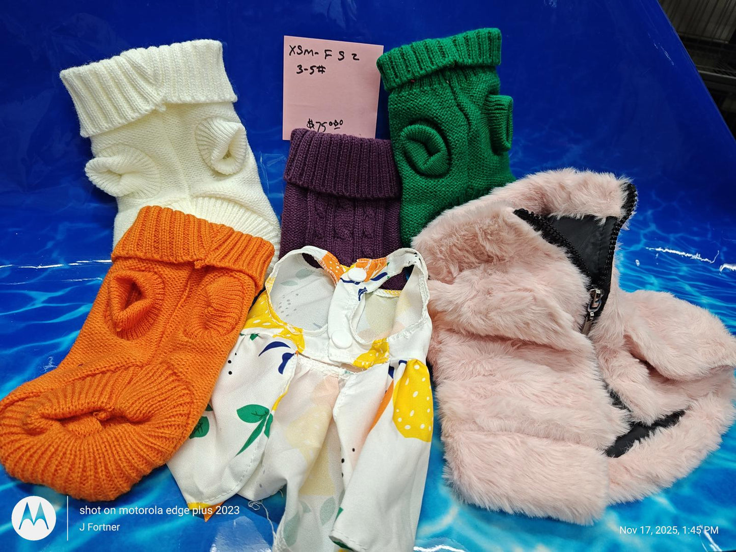 Colorful pet socks set including orange, white, purple, green, and pink styles for dogs.