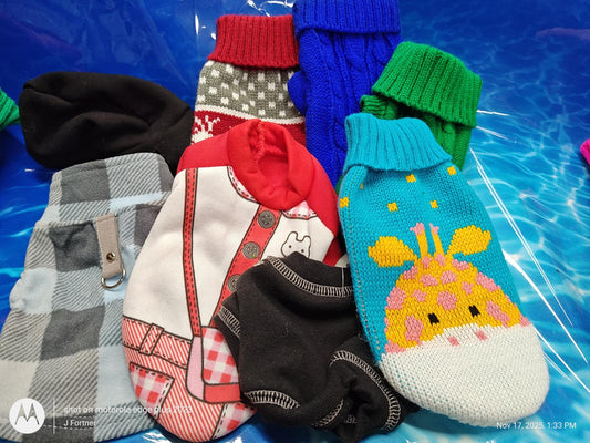 Colorful pet socks featuring various designs including a giraffe and plaid patterns.