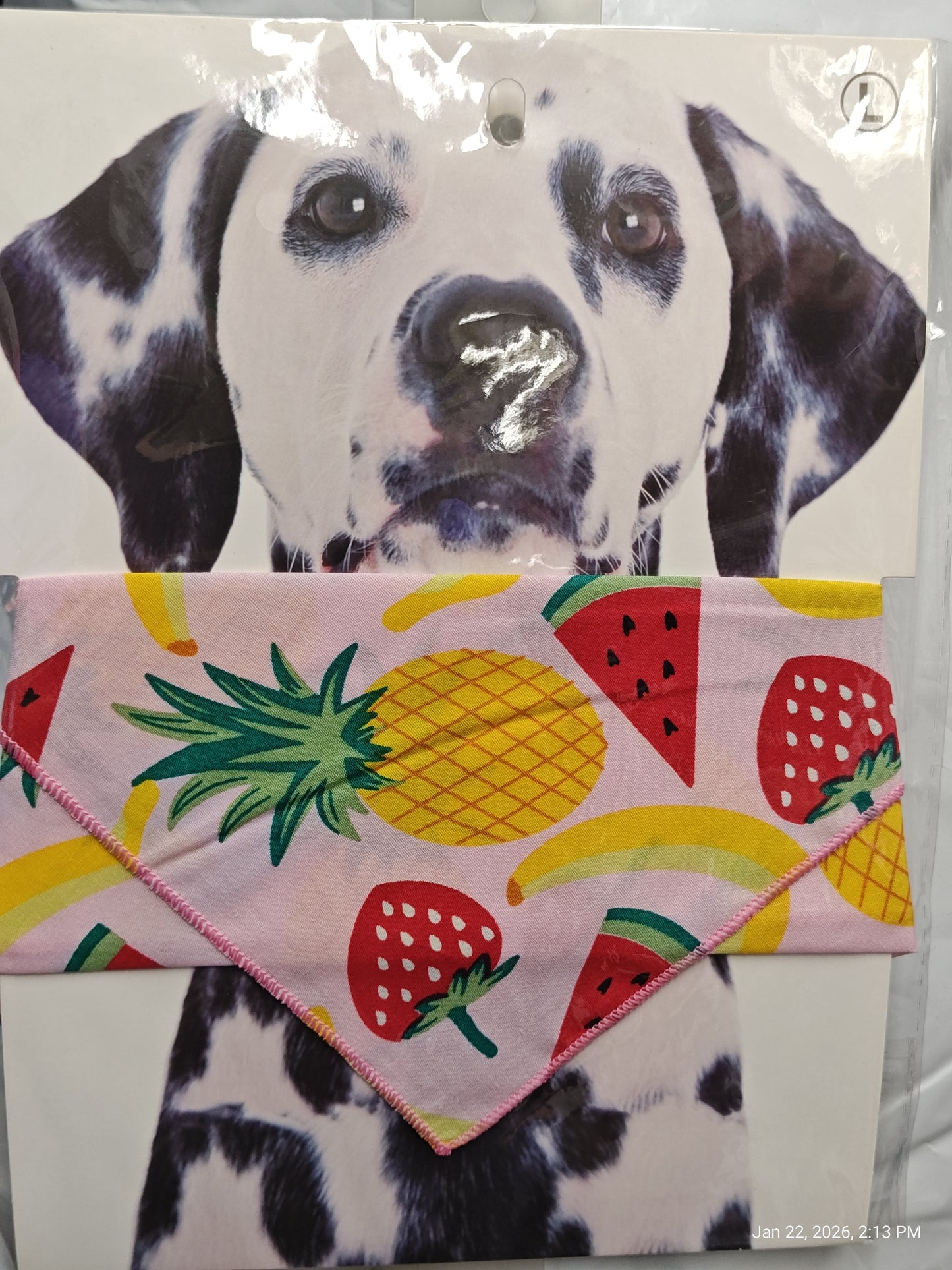 Dog bandana featuring colorful fruit patterns like pineapples and strawberries.
