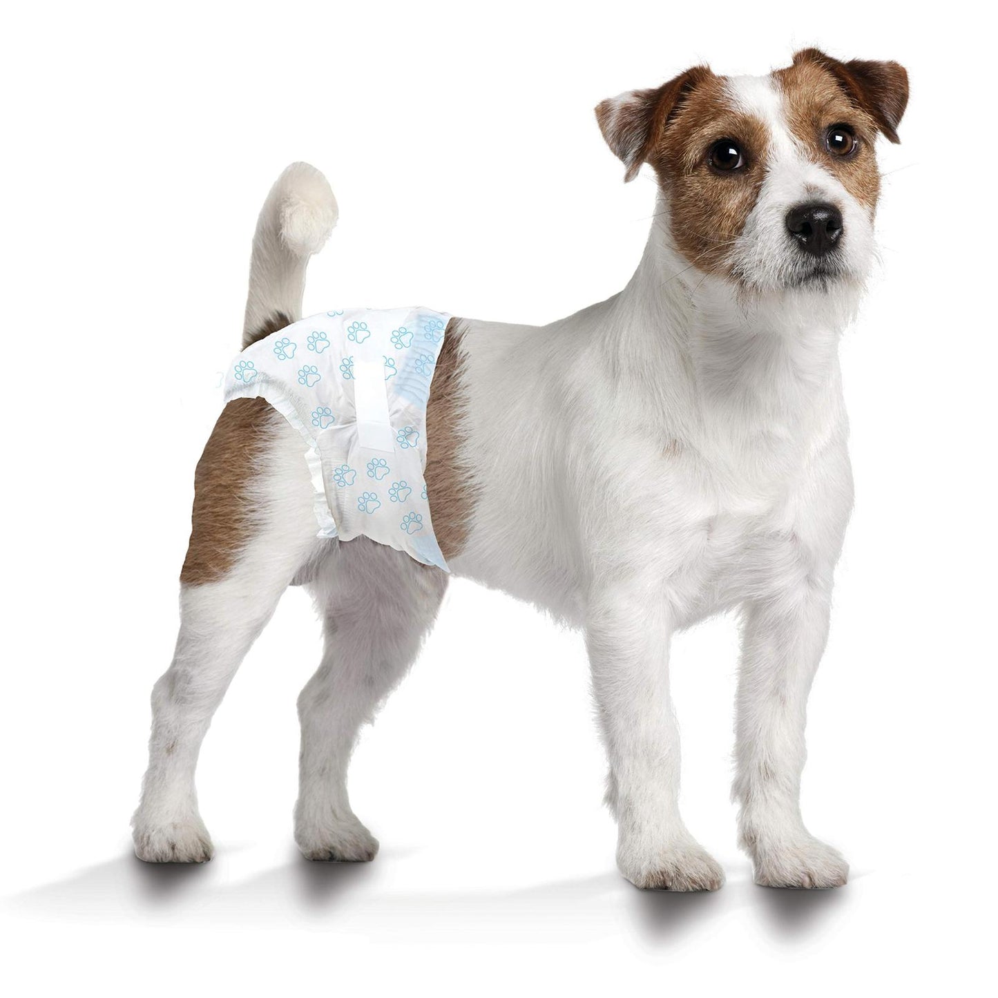 Wee Wee Disposable Dog Diapers 36 Count Small for Incontinence/training