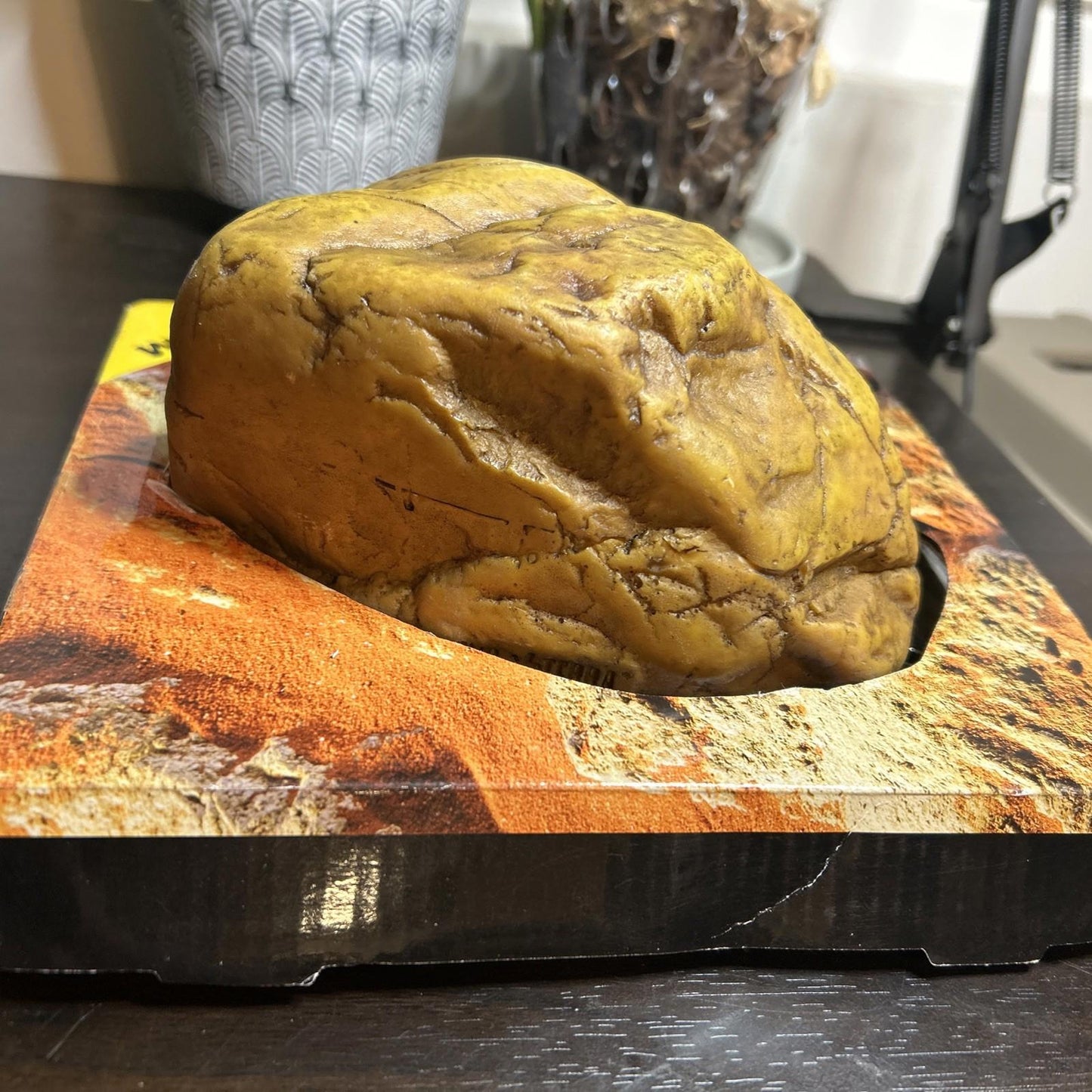 Exo Terra Gecko Cave