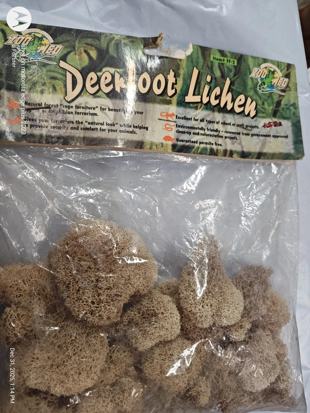 Deerfoot Lichen in a clear package, showcasing its unique texture and natural color.