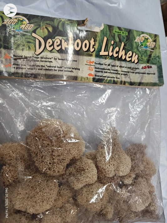 Deerfoot Lichen in a clear package, showcasing its unique texture and natural color.