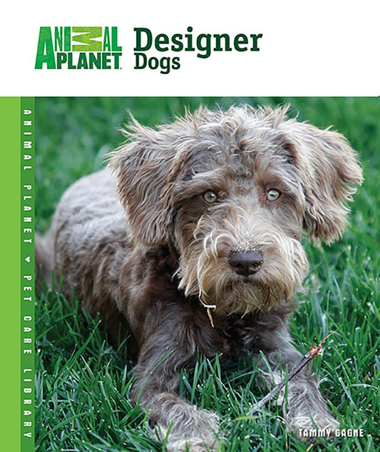 Designer Dogs book cover featuring a fluffy brown dog with blue eyes on green grass.