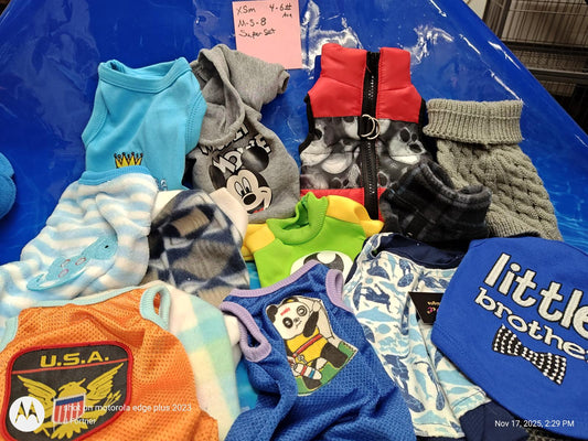 Dog apparel collection featuring colorful designs and various styles, including a USA-themed shirt.