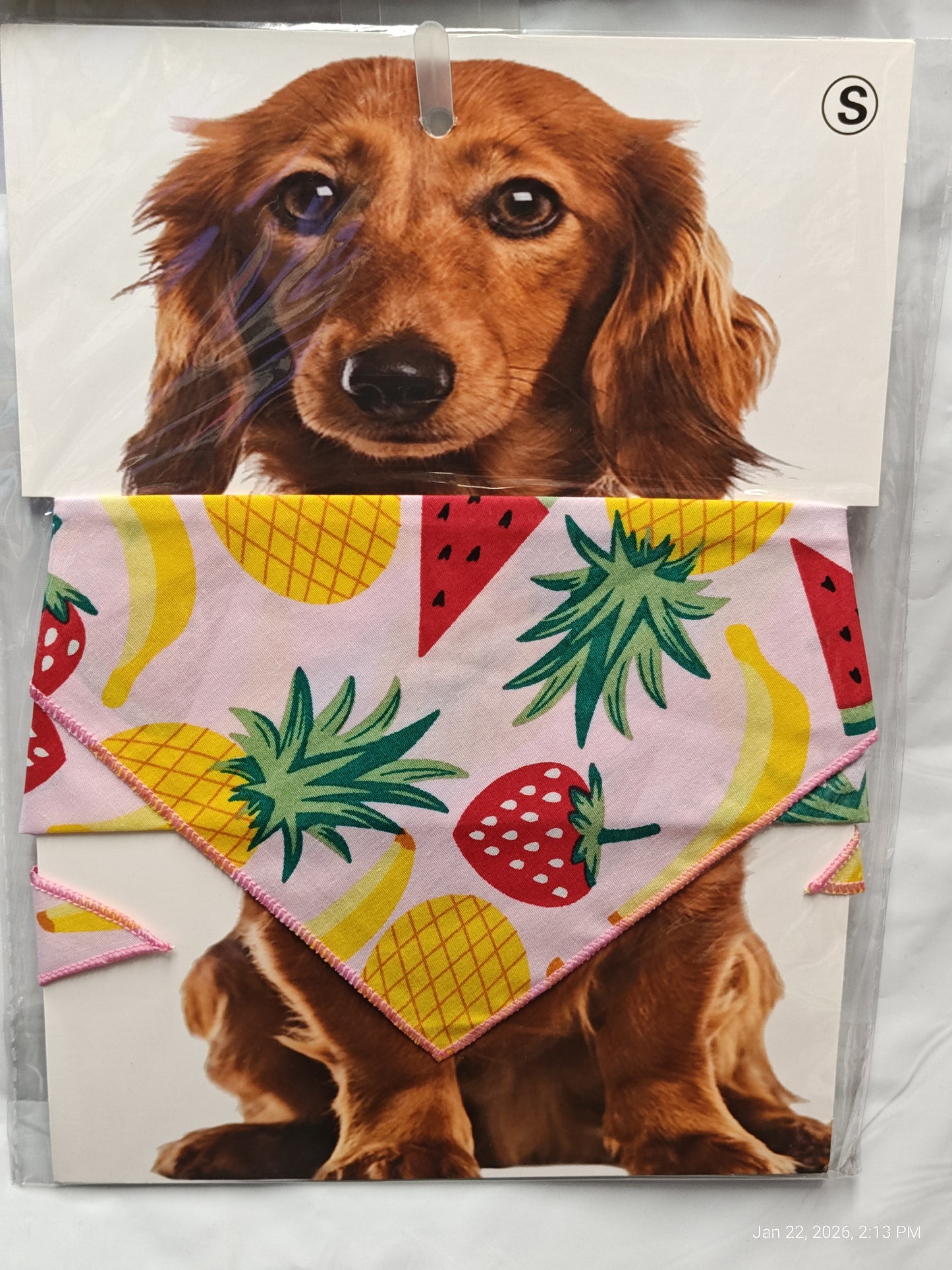 Dog bandana featuring colorful fruit patterns like strawberries and pineapples.