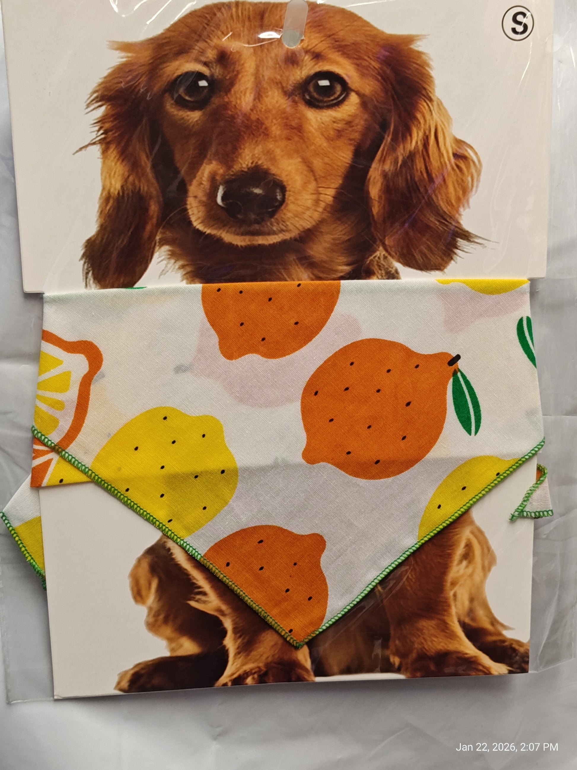 Dog bandana featuring colorful lemon and orange patterns, perfect for pets.