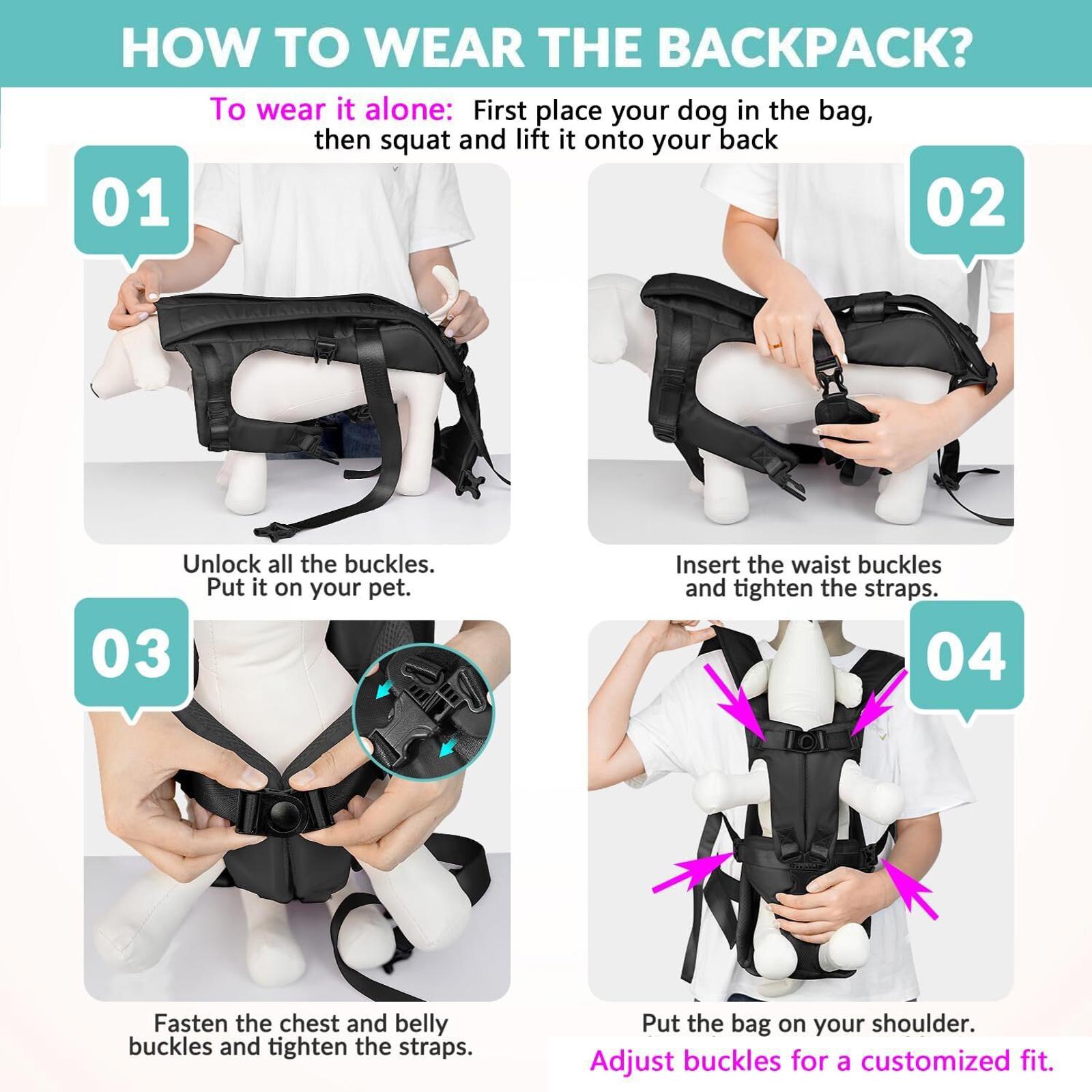 Dog carrier backpack instructions showing how to wear the backpack correctly.