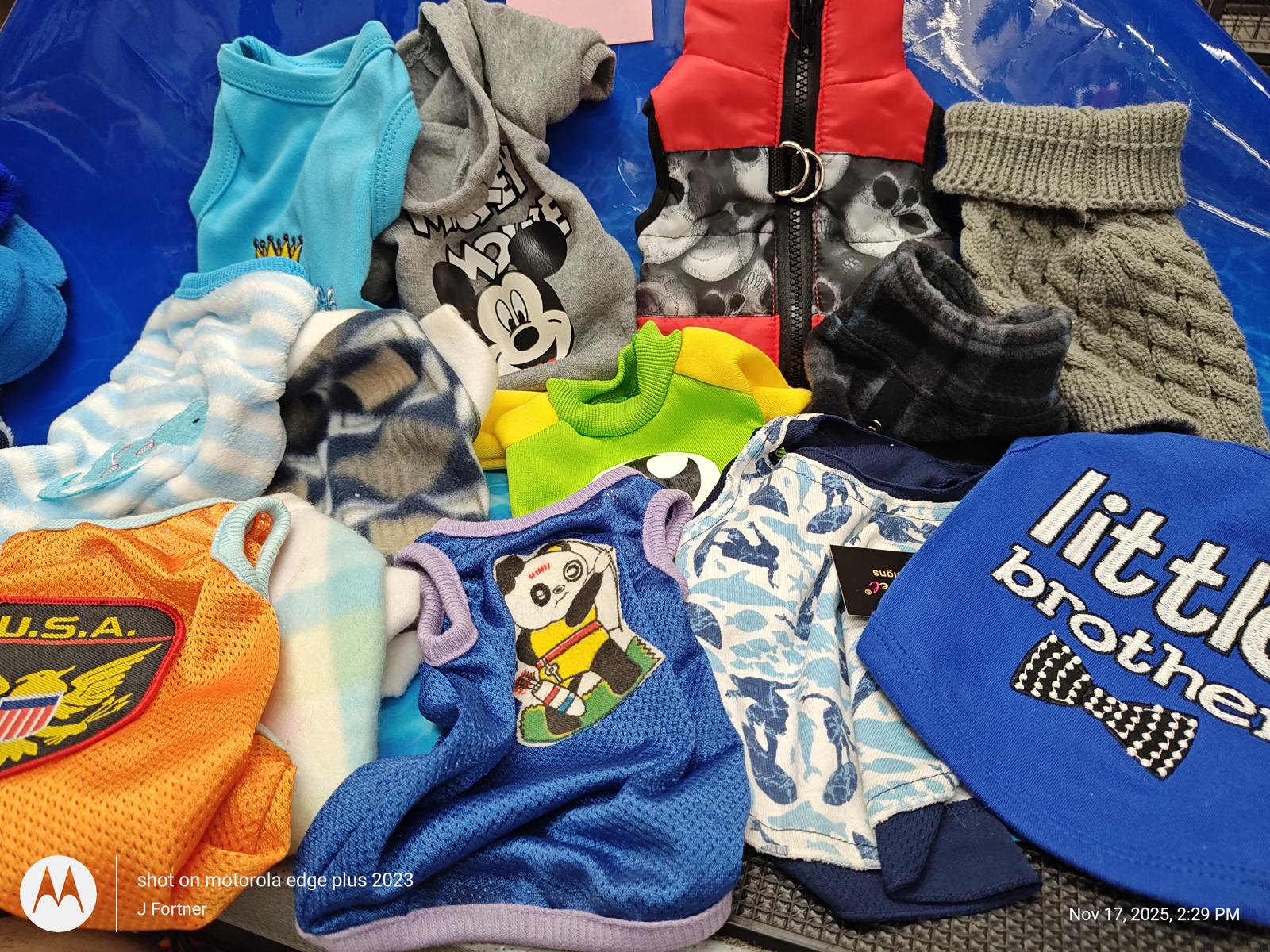 Dog clothing collection featuring various styles and colors, including a blue little brother shirt.