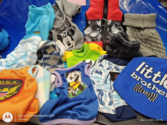 Dog clothing collection featuring various styles and colors, including a blue little brother shirt.