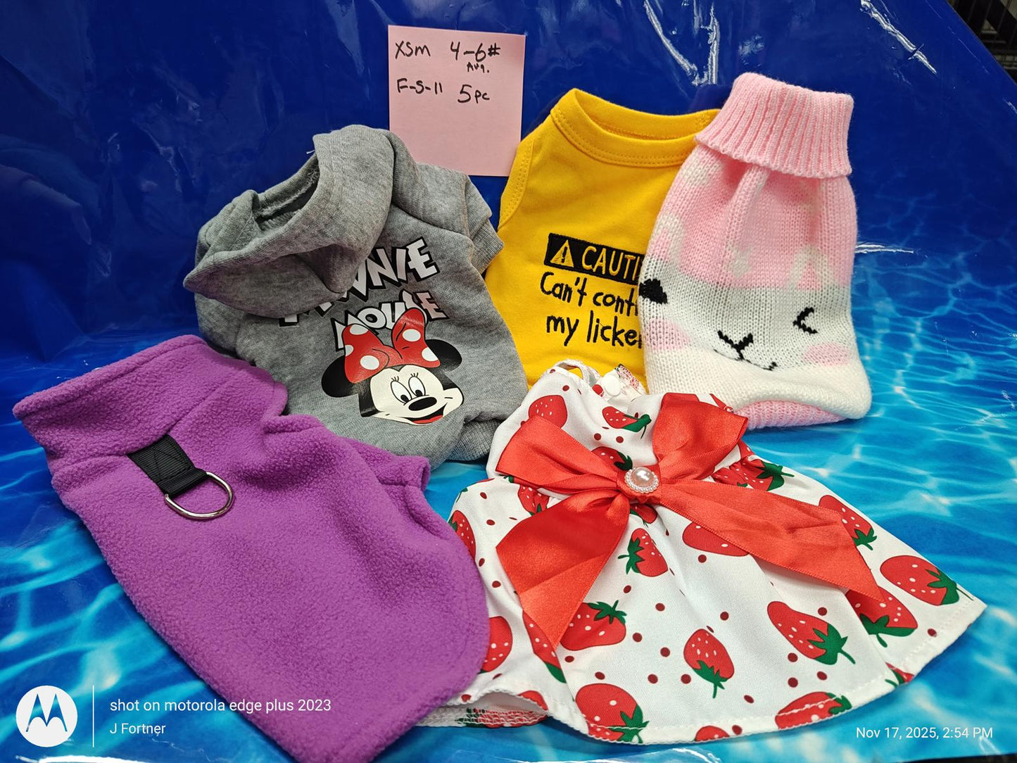 Dog clothing set featuring Minnie Mouse, caution message, and strawberry print dress.