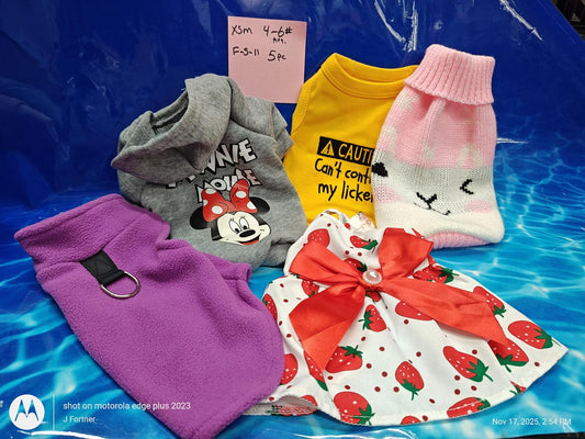 Dog clothing set featuring a Minnie Mouse shirt, caution sweater, pink sweater, and a strawberry dress.