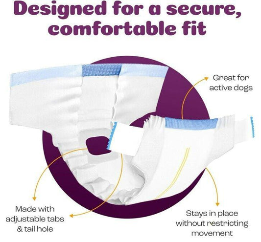 Dog diapers designed for a secure, comfortable fit with adjustable tabs and tail hole.