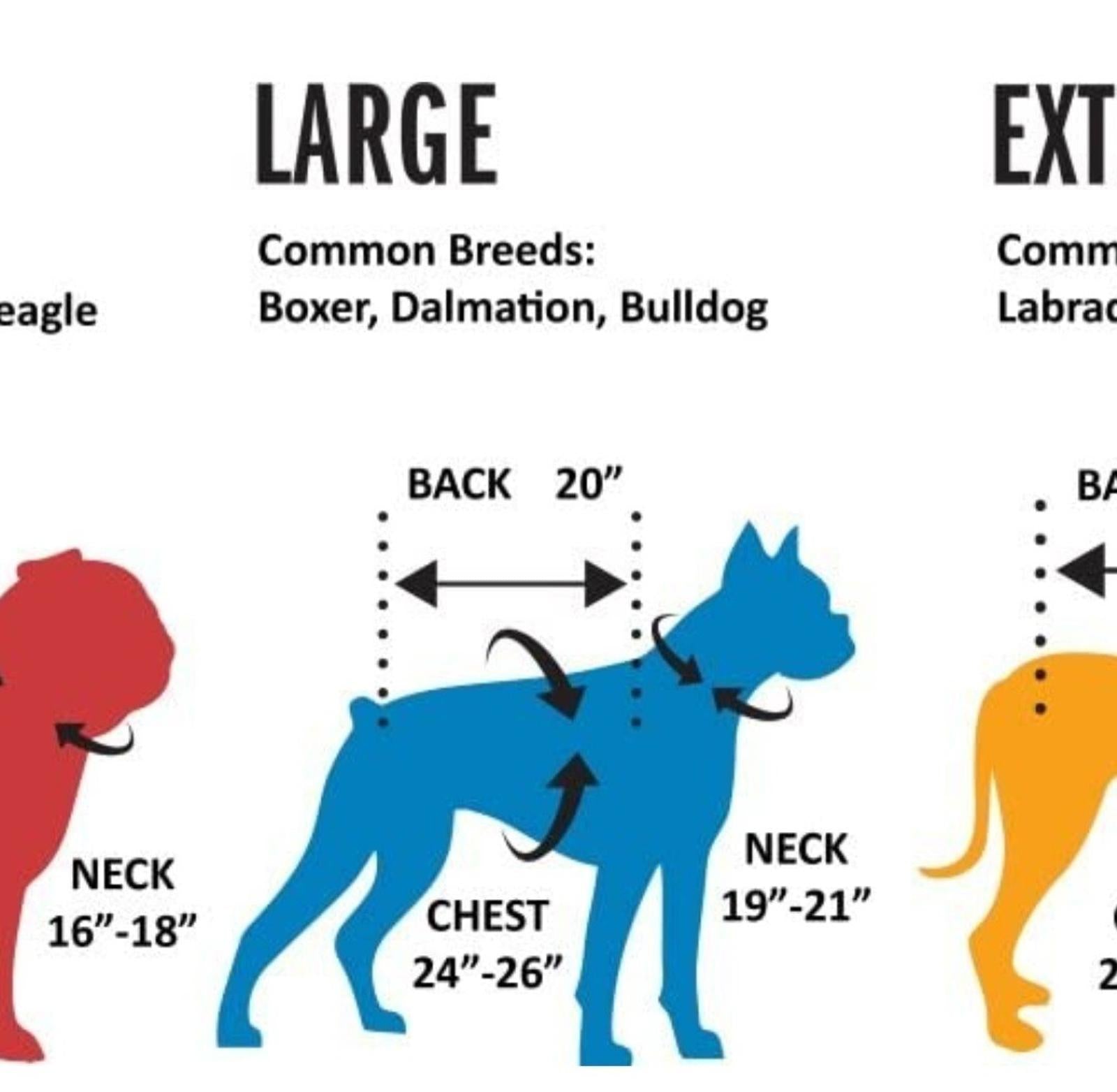 Dog harness size guide for large breeds like Boxer and Bulldog, showing neck and chest measurements.