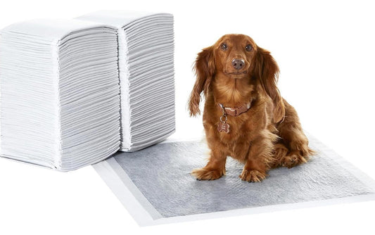 Dog training pads featuring a brown dog sitting beside stacked pads, ideal for pet owners.