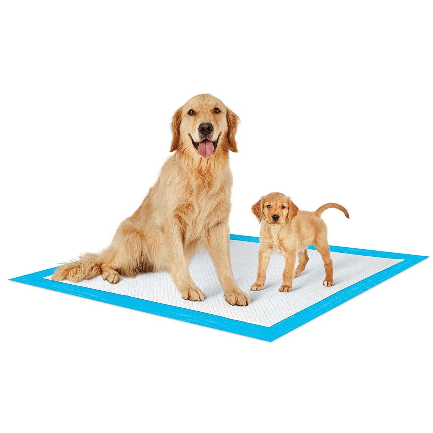 Dog Training Pads featuring a golden retriever and a puppy on a blue-bordered pad.