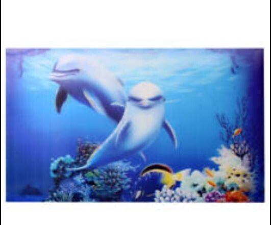 Dolphin wall art featuring two dolphins swimming among colorful coral and fish.
