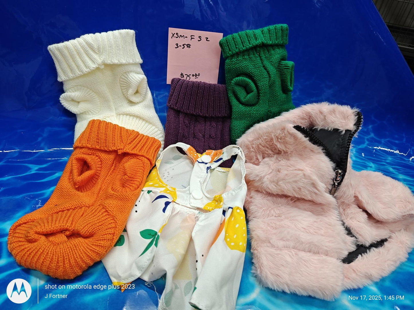 Dog Outfit Bundle ( Xtra Small 4 to 6 Pound Pets ) Brand New Save with a Bundle