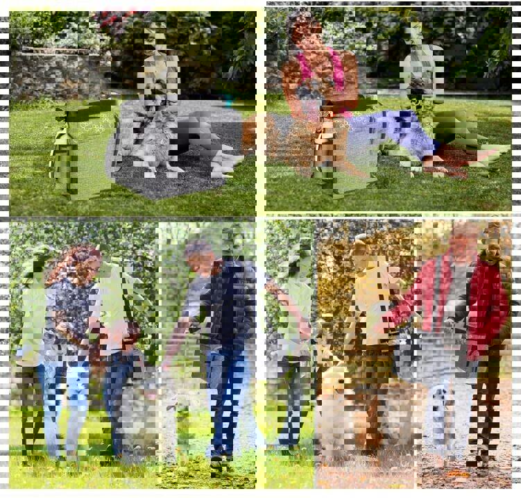 Dog Travel Bag for Supplies - Includes Travel Bag, Travel Dog Bowls, Food Grey