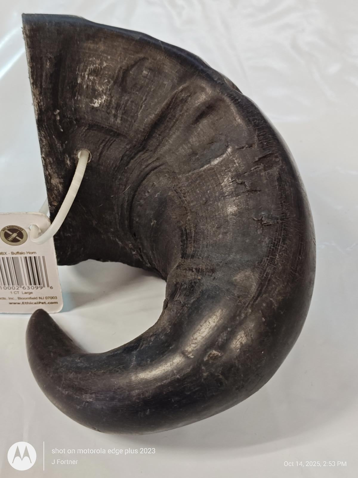 Water Buffalo Horn  Natural Long Lasting Dog Chew  7 by 4 + inches